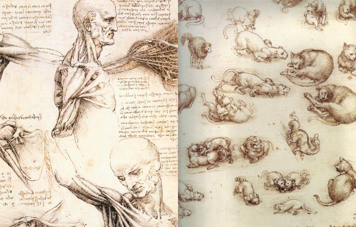 где находится роспись леонардо да винчи. ренессанс леонардо да винчи картины. зашифрованные дневники леонардо да винчи. наброски леонардо да винчи. 1 летательный аппарат леонардо да винчи.