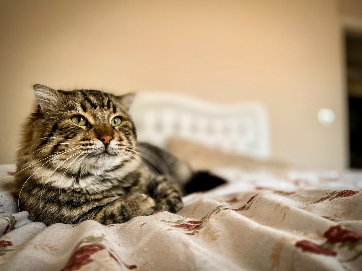 Photo by Onur Buz on Unsplash