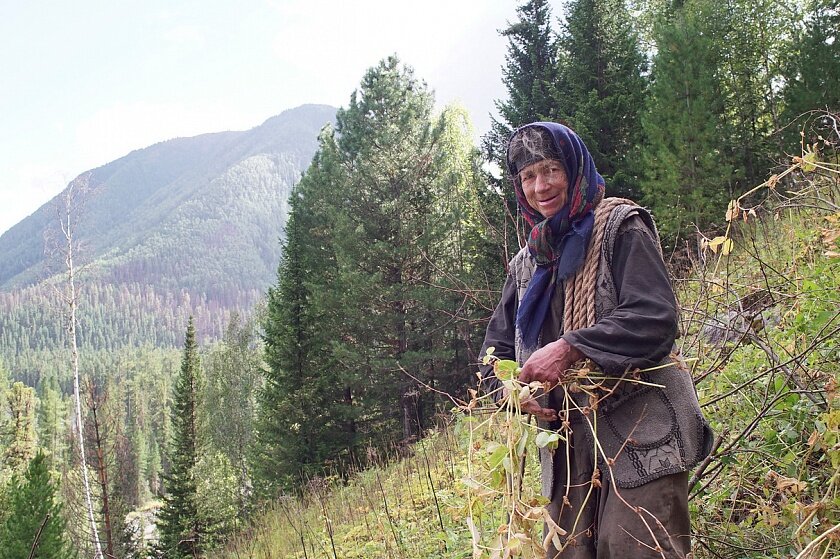 Фото из открытых источников