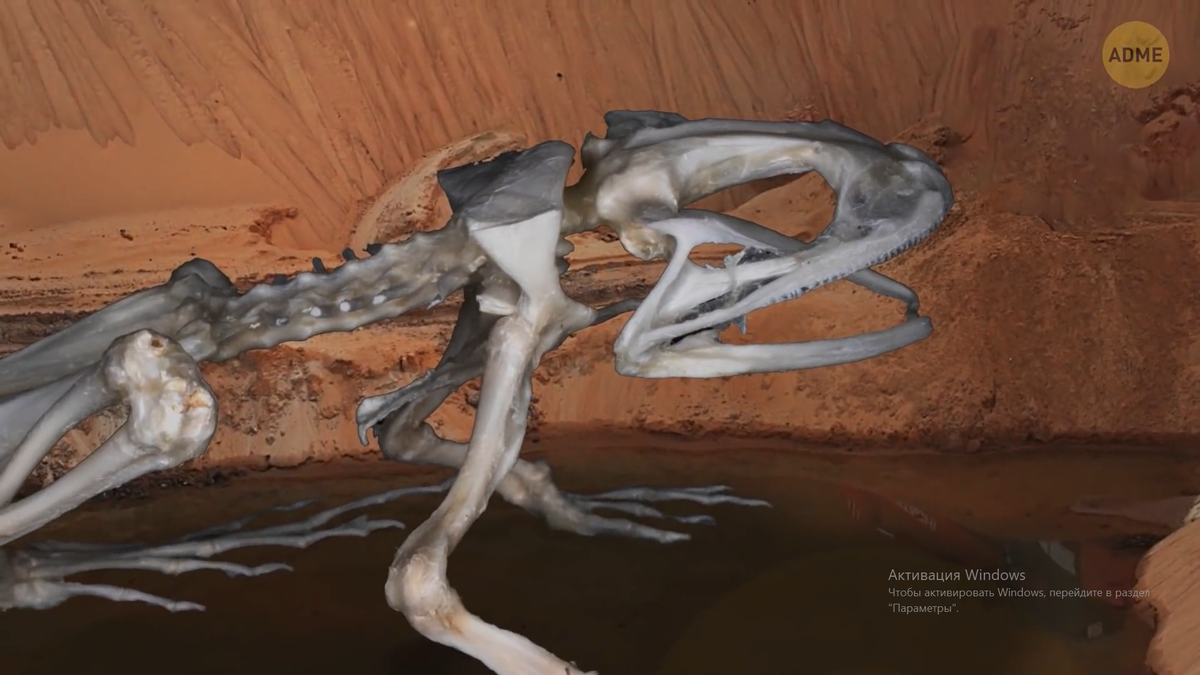 Взято из видео