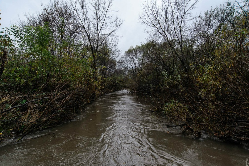 р.Мулянка вдоль д.Кондратово