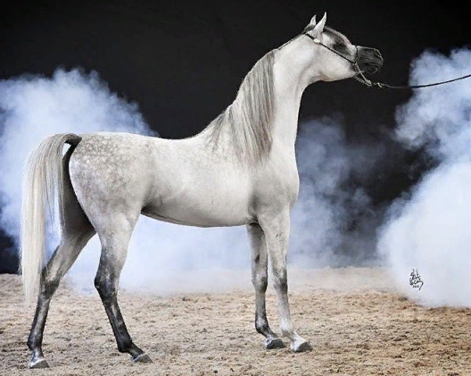  источник взят: yandex картинки.