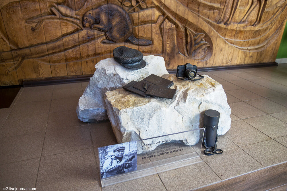 Воронежский государственный природный биосферный заповедник имени В.М. Пескова. Фото автора статьи 