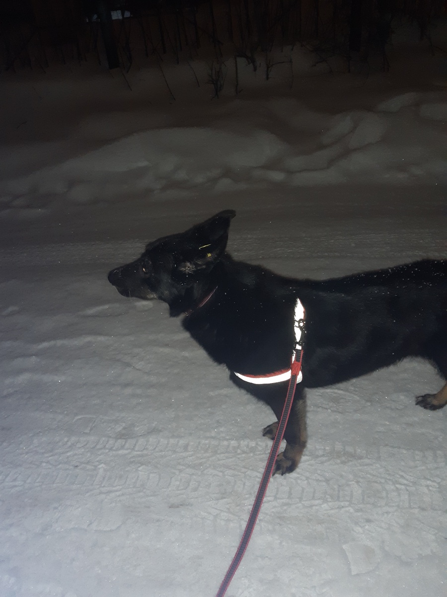 Ронда на прогулке