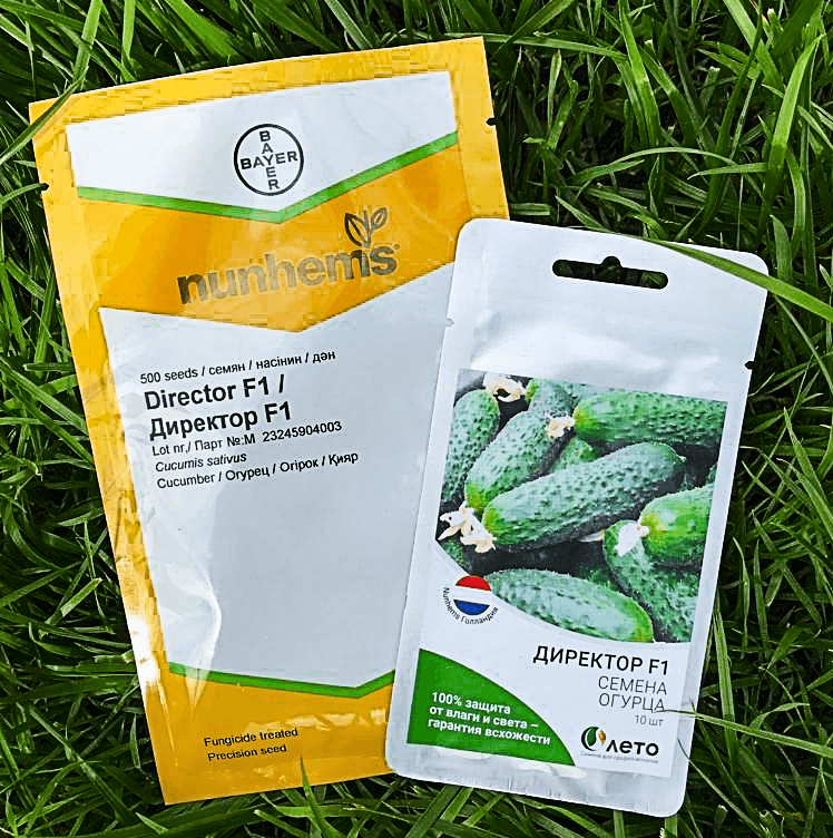 Четко и ясно = Огурцы фирмы #Nunhems 