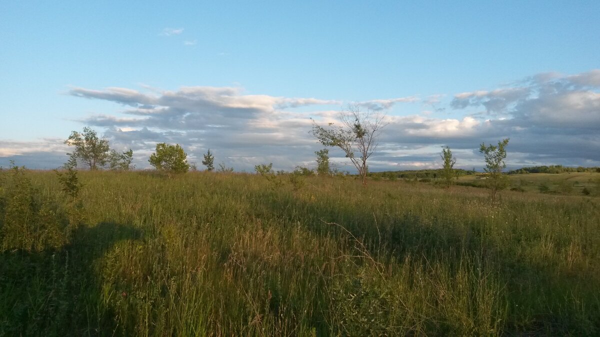 Какие ж у нас просторы! 