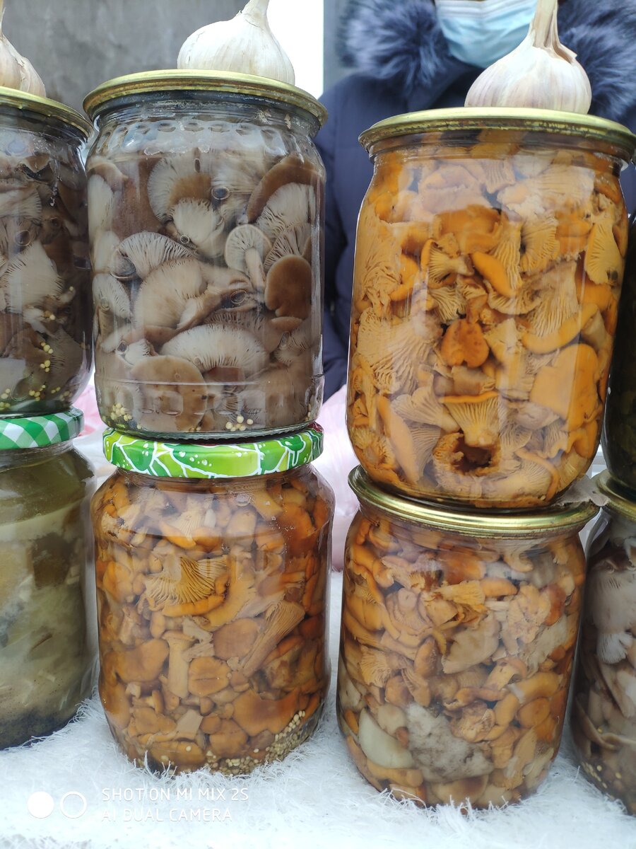 Лисички и опята, маринованные.