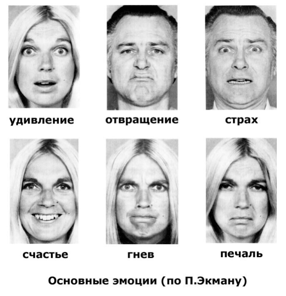 Выражения лица эмоции картинки