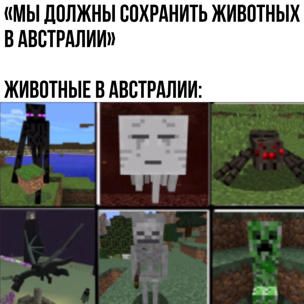 Мемы майнкрафт 2021