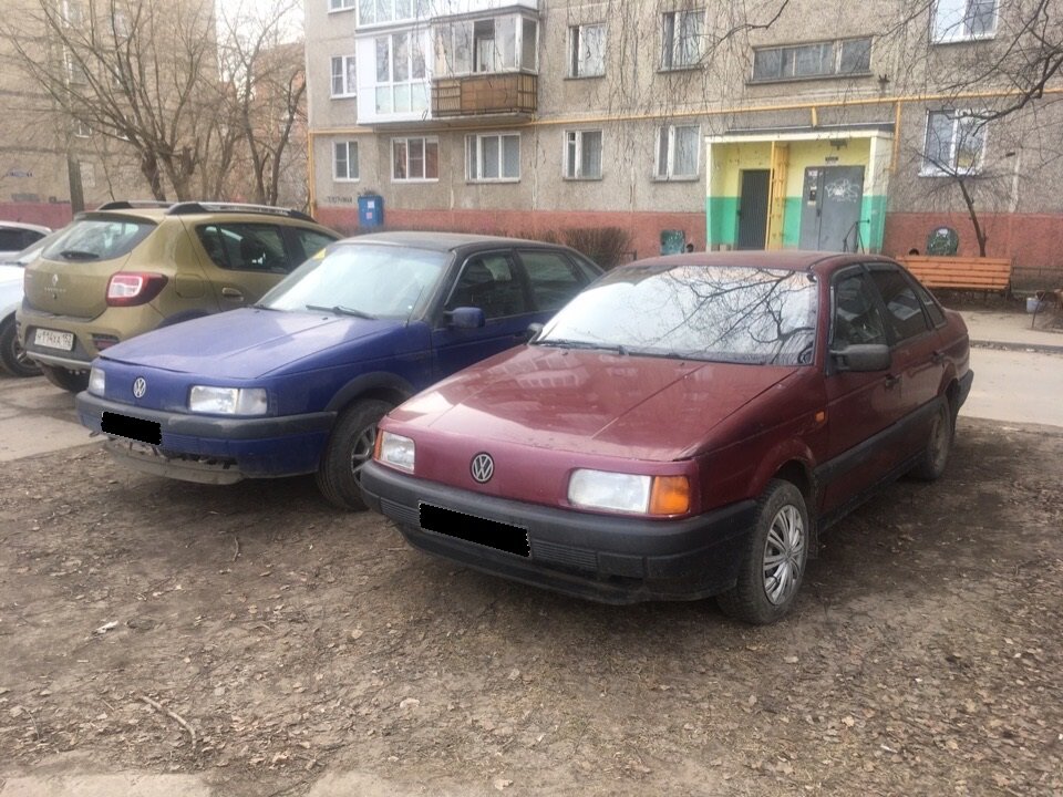 Два брата-близнеца когда-то вместе стояли под окнами моего дома. Приятное зрелище
