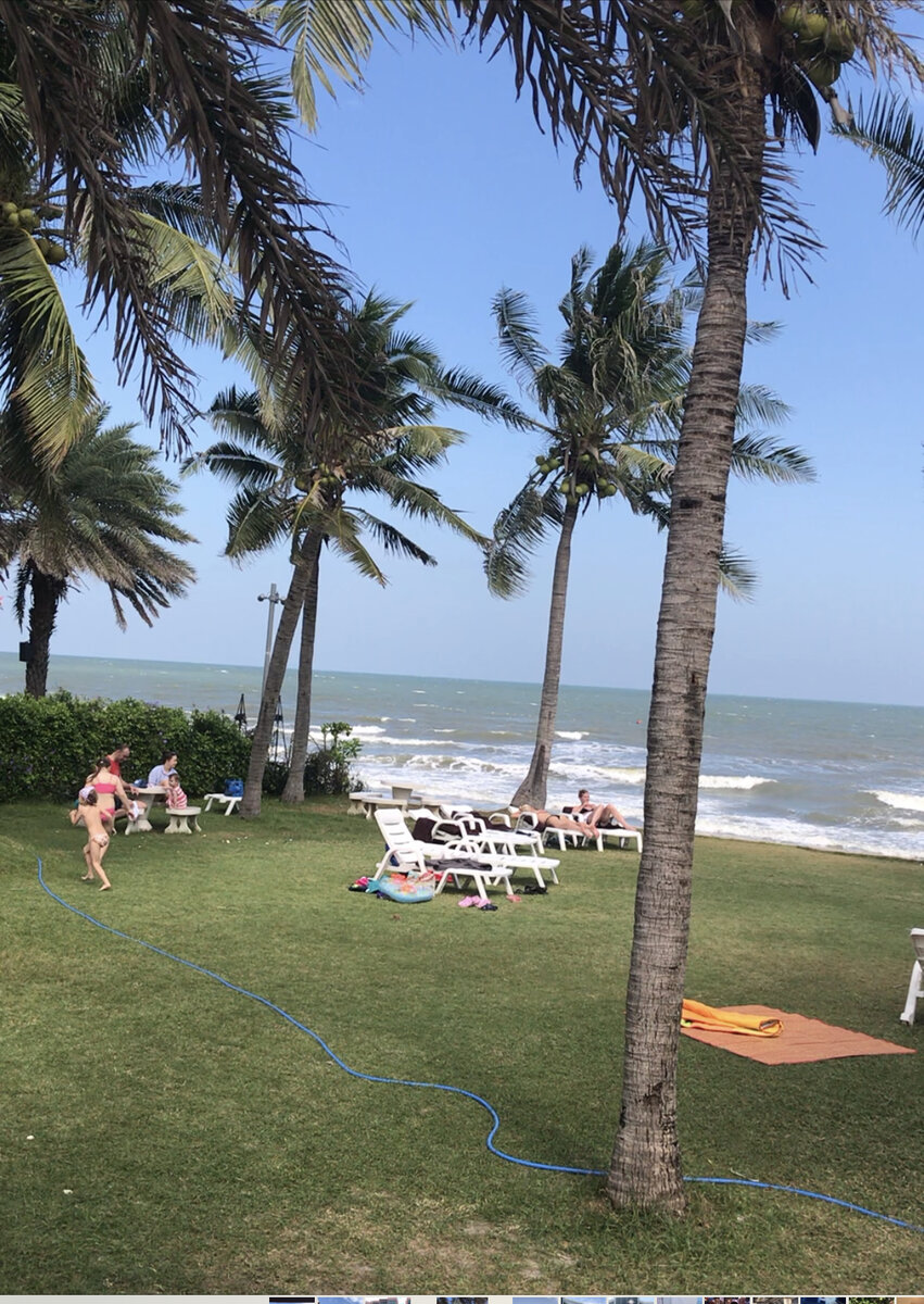 Лежаки самые простые и их около 10 штук. У бассейна хорошие 