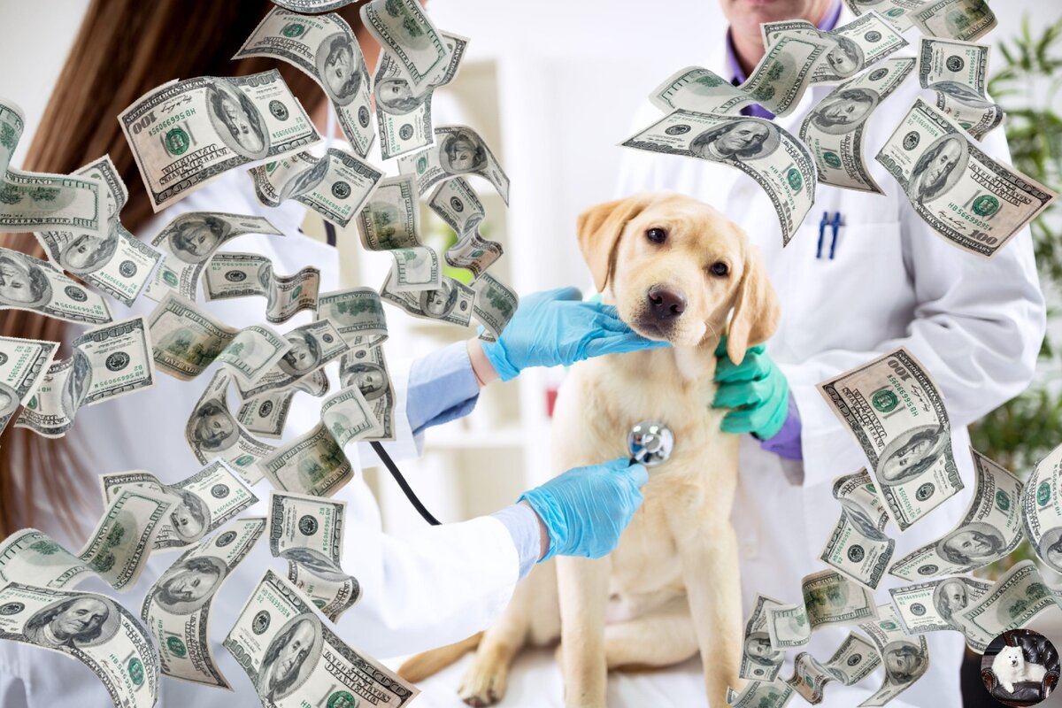 Иллюстрация моя.