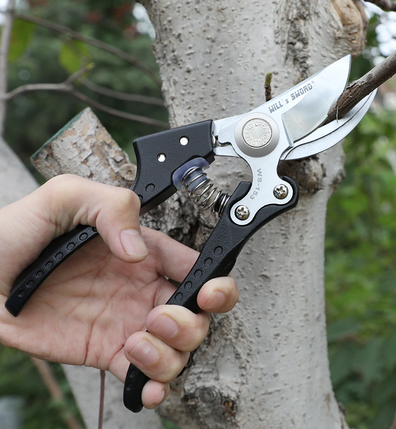 Изображение с Aliexpress.ru