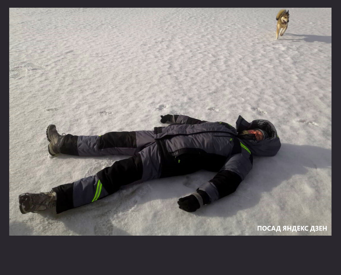 Автор лежит на пруду (в прямом смысле этого слова) и загорает на солнышке. Через пару секунд подбежавшая чупакабра насмерть залижет несчастного автора.