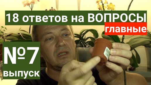 Что делать с орхидеей после цветения и нужно ли удалять стрелку