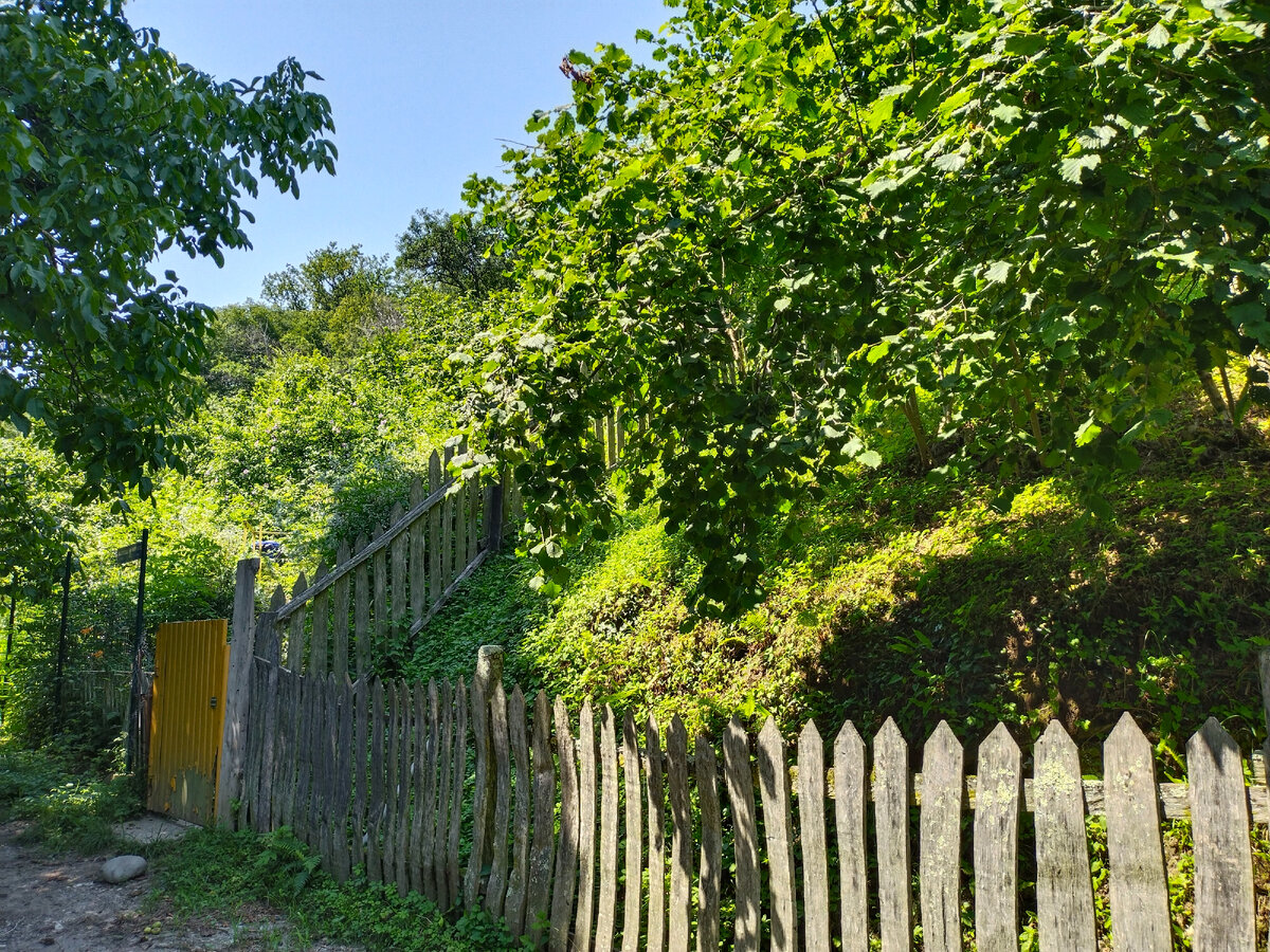 Фото автора канала