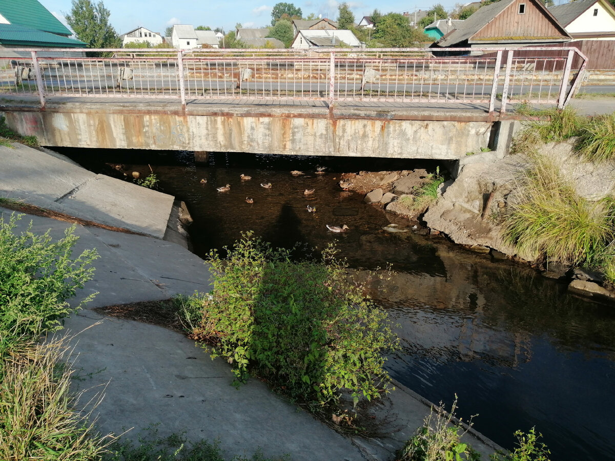 Мост над маленькой речушкой, которая протекает посреди частного сектора. Это место облюбовали себе дикие утки. В тёплое время не так бросается в глаза. А вот в холодное - красота: снег, мороз, речка, уточки толпами плавают, по льду бегают, взлетают, люди прикармливают их.