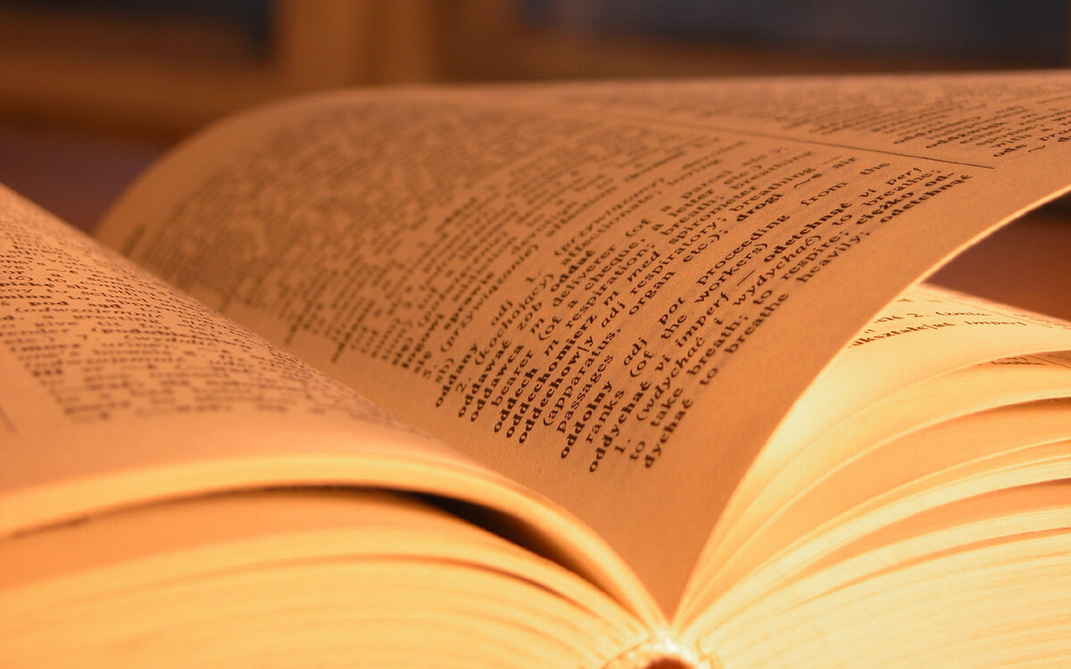 Тест по литературе №35