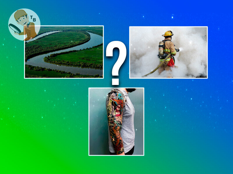 Что общего на этих изображениях? Назовите одним словом. Источник: авторский коллаж 