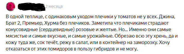 Отзыв владельца теплицы о проблеме образования желтых пятен у плодоножки 
