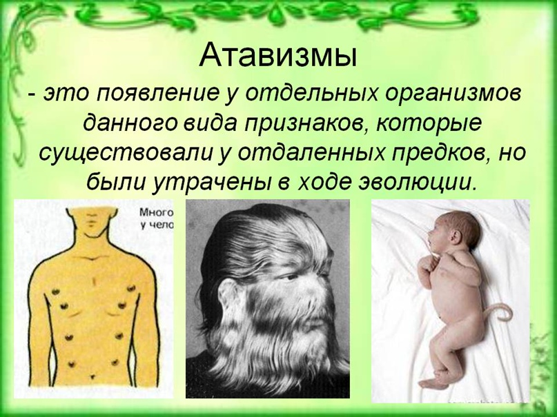 Атавизмы определение и примеры