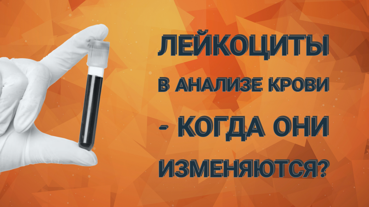 О чем говорит количество лейкоцитов в крови? Норма и причины отклонения