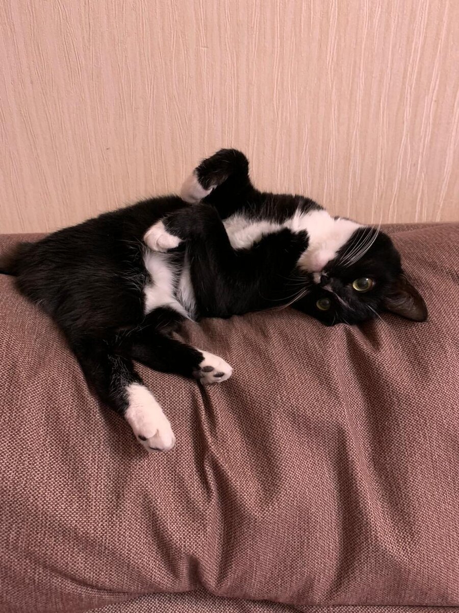 любимая Бусина поза