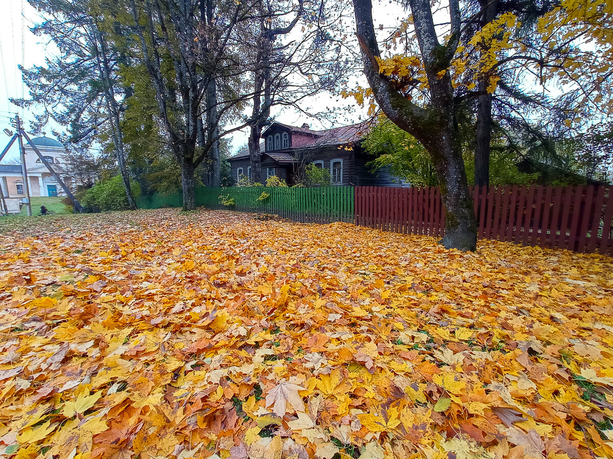 Прямухино. Тверская область. Фото автора статьи 