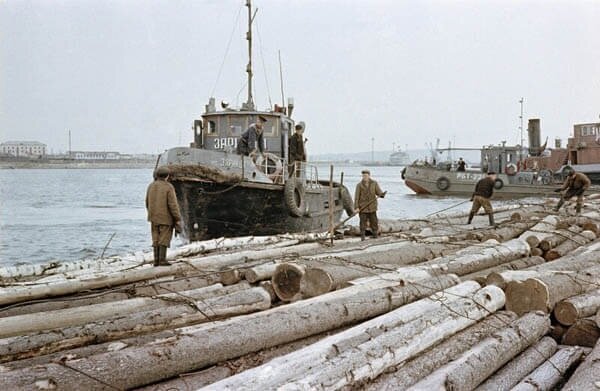 Сплав леса по реке Вятке