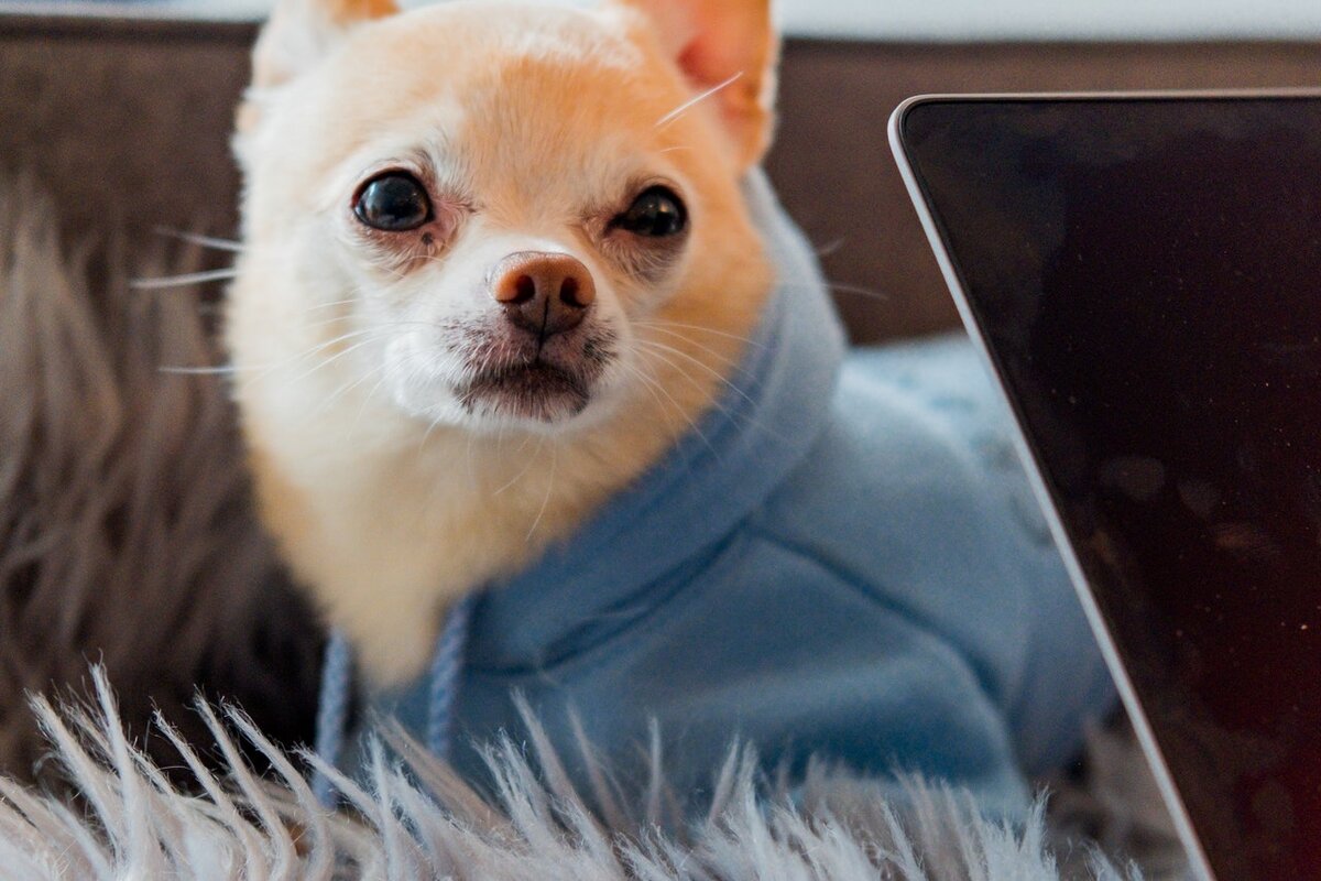 Фото автора Mister Mister