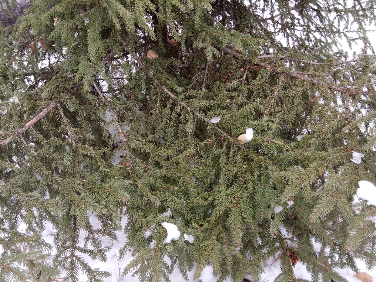 Фотография из личного архива автора