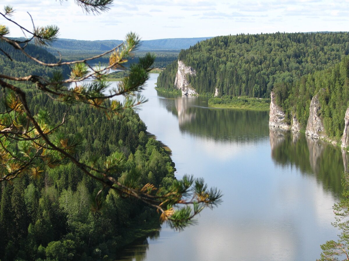 Лес на реке Вишера Пермского края