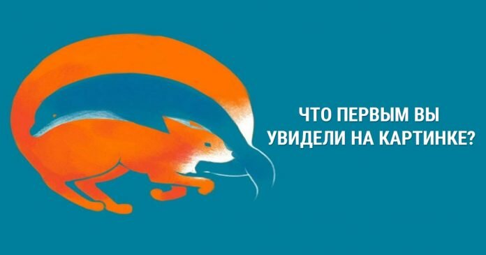 Изображение взято с открытых источников