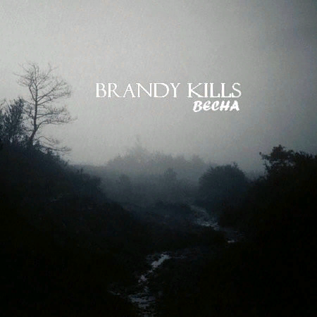 Это, дорогие друзья русскоязычный альбом 2014 года "Весна" группы Brandy Kills. А что? Я иногда люблю русское, наше. Есть стоящие группы.