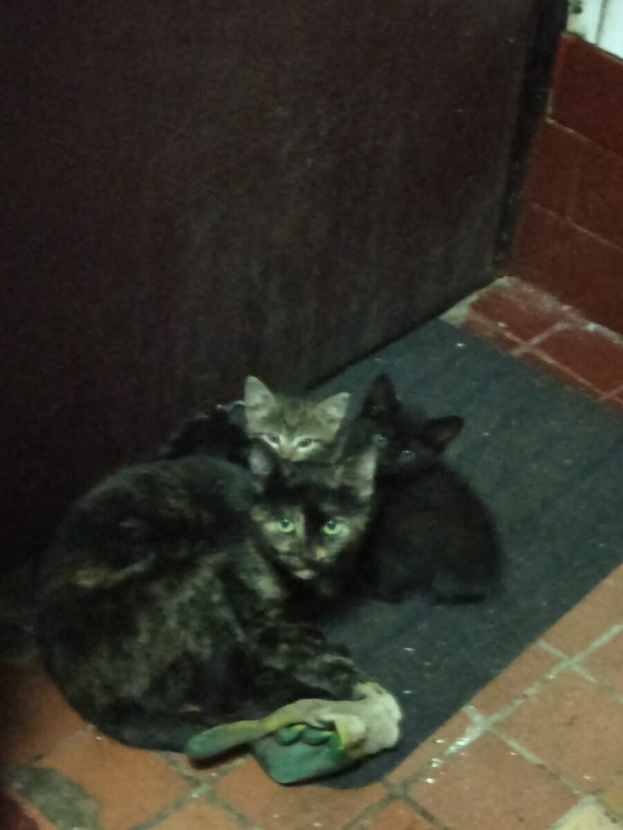 Фото автора