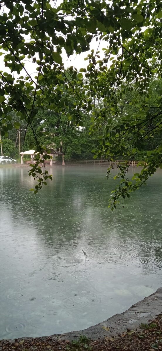 Фото прислала Люсьена Бондарева