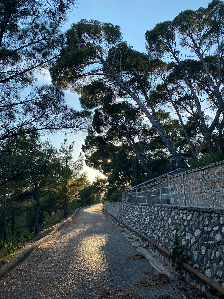 Одна из дорожек парка