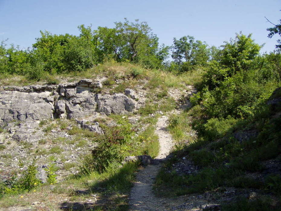 Фото из открытых источников. Перкальская каменоломня