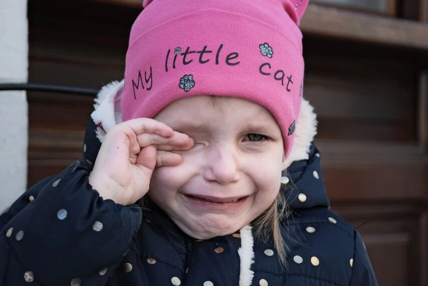 Фото: https://pixabay.com/