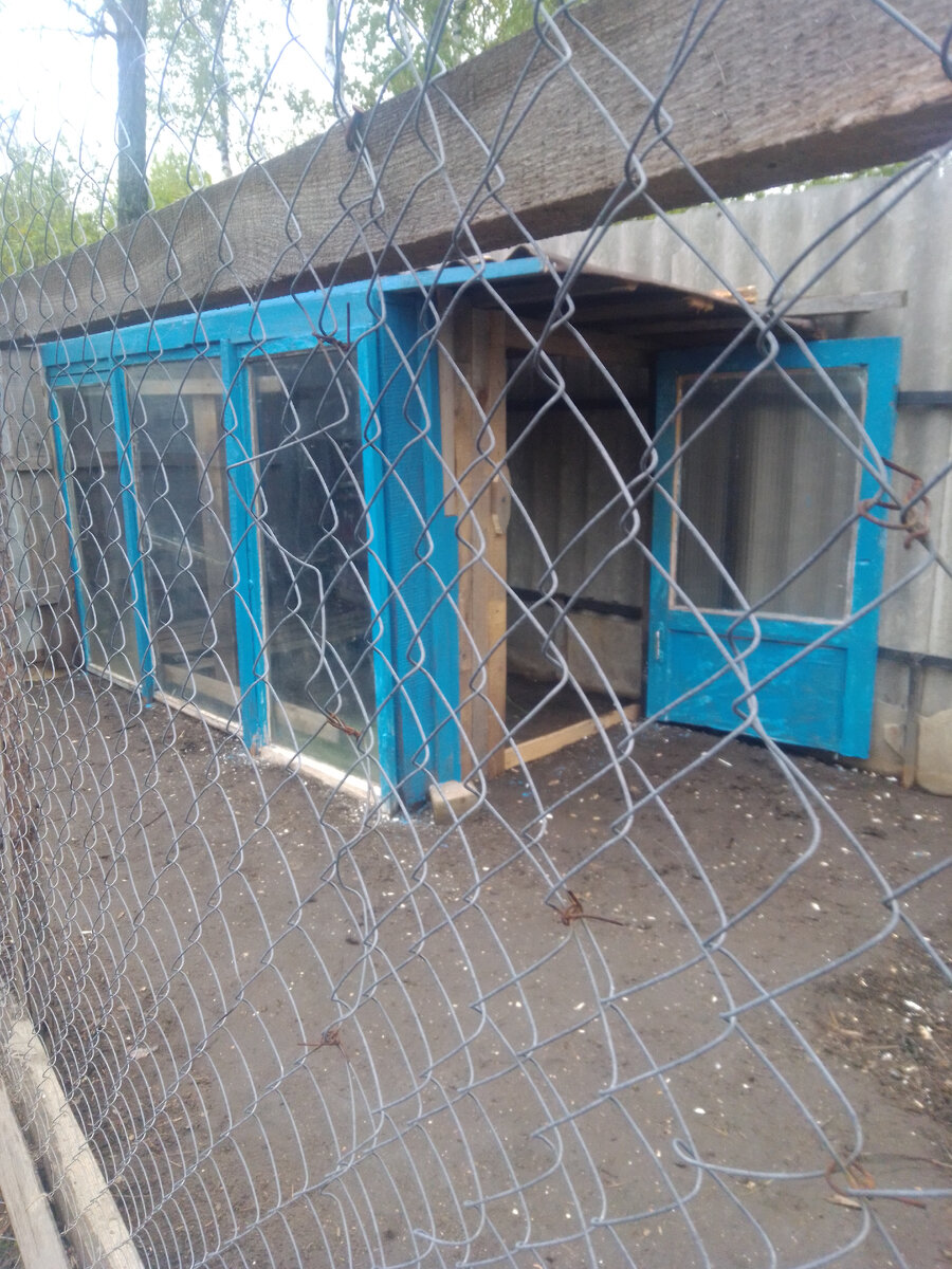 Утки довольны