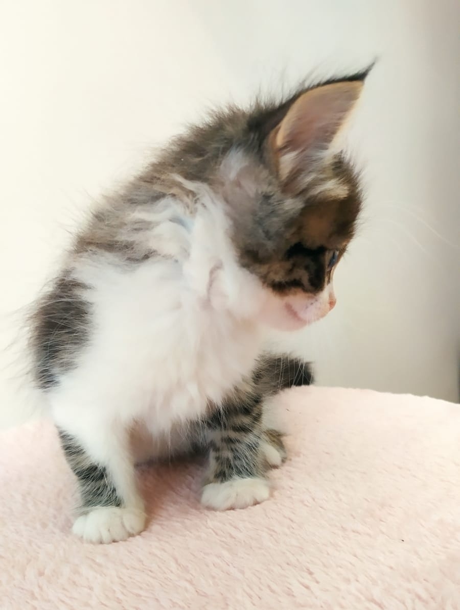 фото Камиллы. 