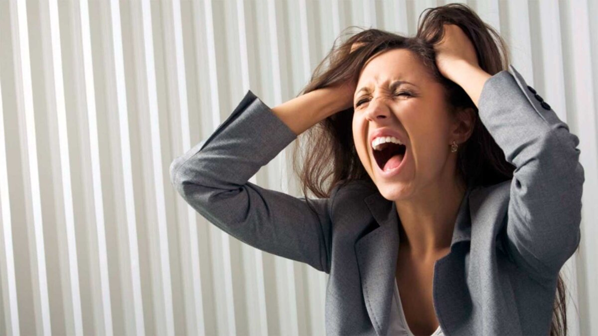 Фото из свободных источников