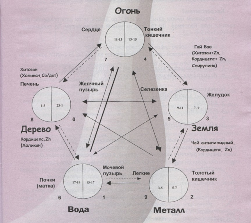 Китайская медицина органы. Таблица пяти элементов у-син. Система Усин стихии. Теория у-син пять первоэлементов. Круг у-син 5 элементов.