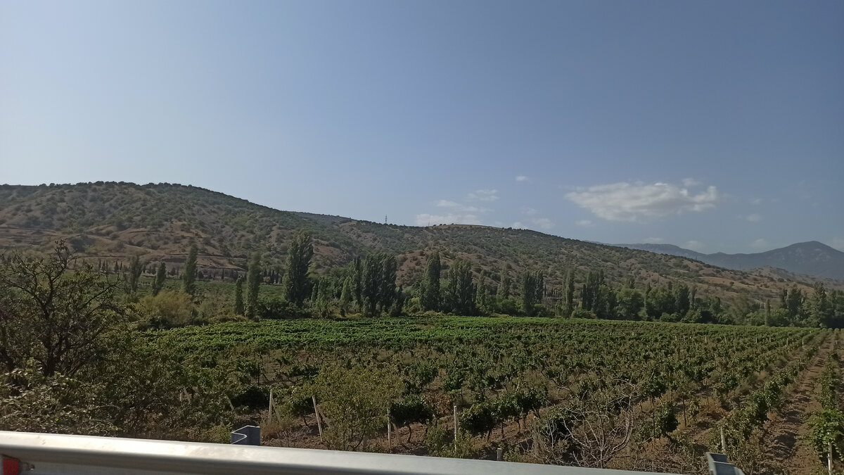 По дороге в Приветное