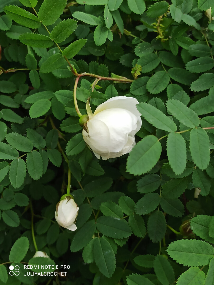 Личный архив