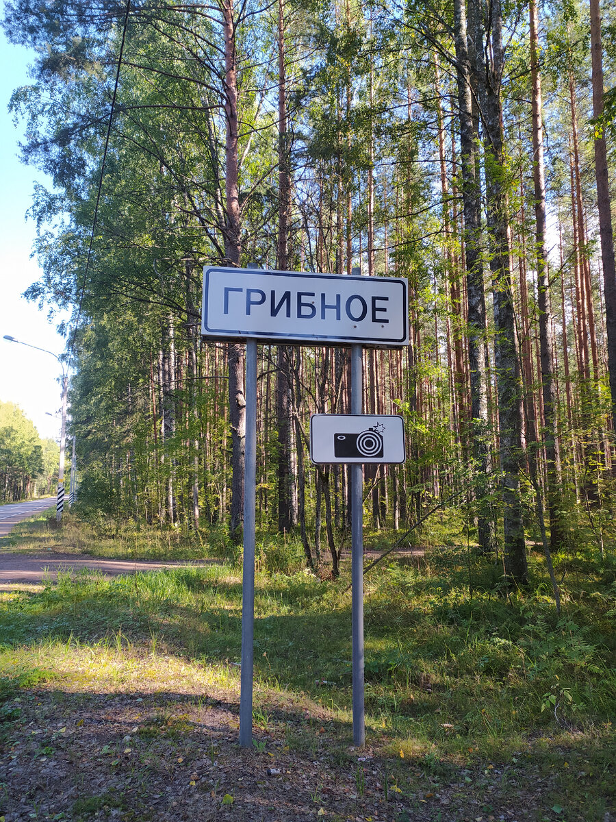 Обмануть хотели