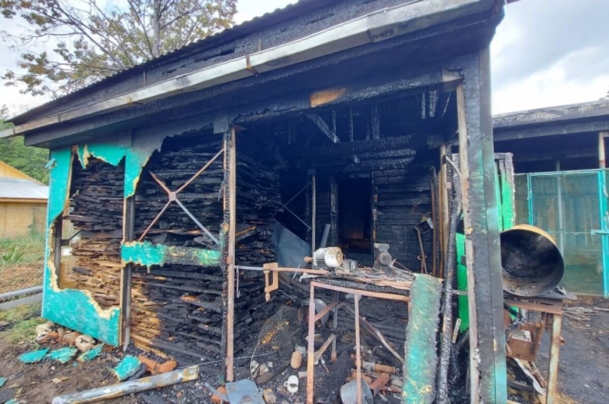    В Прикамье пожарные спасли домашних животных и имущество семьи