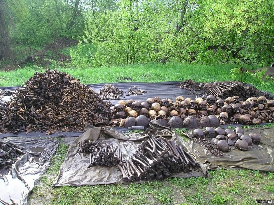 Мясной бор долина смерти фото