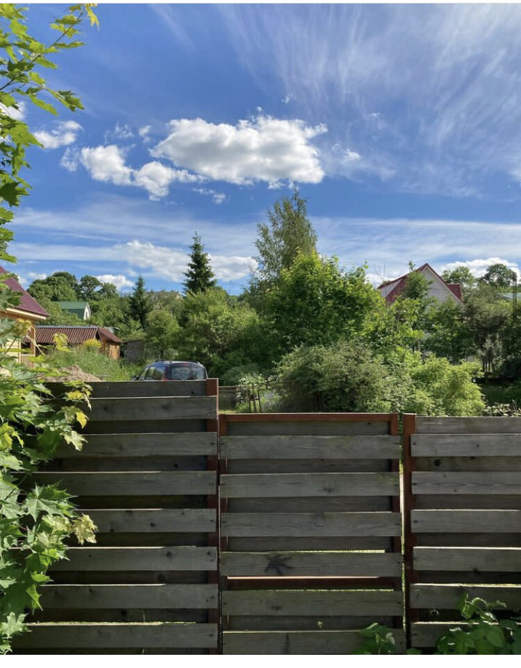 Тот самый забор, фото мое 