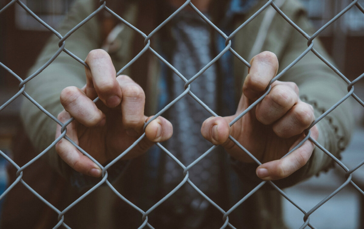Источник unsplash.com
